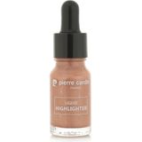Pierre Cardin Liquid Highlighter - Bronz