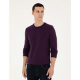 Pierre Cardin Mor Slim Fit Bisiklet Yaka Basic Triko Kazak 50296575-vr038