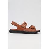 Pierre Cardin PC-7150 - 2115 Taba Erkek Sandalet