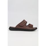 Pierre Cardin® | PC-7156- 2115 Kahve-Erkek Terlik