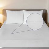 Pierre Cardin Tek Kişilik Alez 100x200 cm