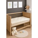 Pierre Cardin Yatak Babysoft Organik Bebek Sünger Yatağı 9 cm - 70 x 130 cm