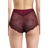 Pijama Pazarı 586 Kadın Yüksel Bel Arkası Dantelli Külot-bordo BORDO M
