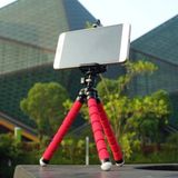 Pika Akrobat Tripod