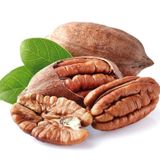 Pikan Ceviz Fidanı 2 Yaş - Açık Köklü 50-80 Cm