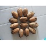 Pikan Ceviz Jumbo Oval Tip 1kg.