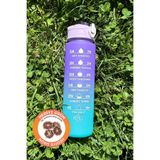 Pikas 900 ml Tritan Motivasyonel Spor Salonu Su Matarası