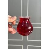 Pikas Keyfi Ala 210 ml 6'lı Borosilikat Cam Kulplu Çay Bardağı