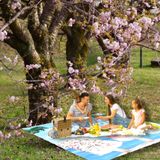 Piknik Battaniyesi, Piknik Örtüsü, Isı İzoleli Su Geçirmez Piknik Örtüsü, Taşıma Saplı Plaj Örtüsü 150-200 cm (Plaj Dondurması-Deniz Mavisil)