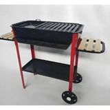 Piknik Sepetim SCK-RAFLI-MANGAL-001-PS - 30x50