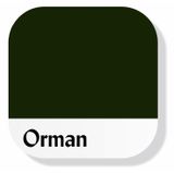 Piktura Multi-Surface Hibrit Akrilik Boya, 200ml, Tüm Yüzeyler İçin, Saten Görünümlü, Su Bazlı (Orman Yeşili)