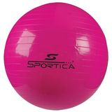 Pilates Topu 55 cm