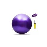 Pilates Topu Seti 65cm+25cm+ Pompa Yoga Egzersiz Aletleri