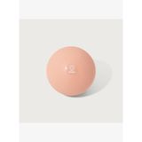 Pilates Topu Somon 20cm