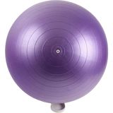 Pilates & Yoga Topu 25 cm Mor Renk