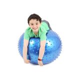 Pilates Yoga Topu 75 Cm Ithal Pompa Dahil MAVİ