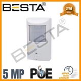 Pileli Store 5 Mp 1440P 48 Ir LED Ip Poe Dahili Mikrofonlu Pır Dedektör Görünümlü Güvenlik Kamerası