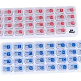 PILL THING AM/PM Aylık İlaç Düzenleyici Tepsi 31 Sabah ve Akşam Günlük Çıkarılabilir İlaç Kutusu Kapsülleri (Şeffaf - AM/PM)