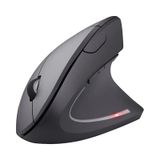 Pilli Dikey Ergonomik Kablosuz Mouse 800/1200/1600 Dpı Al5177 siyah