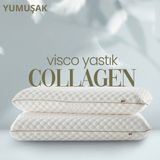 Pillow Market Güzellik Visko Yastığı [hava Kanallı] Kırışıklık Önleyici Ortopedik Uyku Yastığı 1 Adet - Standart - Çimen Yeşil