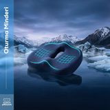 Pillowart Ortopedik Minder Visko Cocix Minder Oturma Minderi Sandalye Minderi Medikal Minder