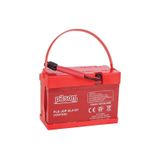 Pilsan 12 Volt 7 Amper Akü Kısa Kablo