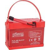 Pilsan 12 Volt 7 Amper Motosiklet Aküsü Kısa Kablo ile Yüksek Performanslı