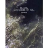 Pina Inferrera. Fragile, maneggiare con cura (Arte moderna e contemporanea)