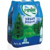 Pınar Su 1,5 lt 12'li Paket Su