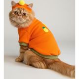Pineapple And Ice Cream Turuncu Haki Kedi Polar Sweatshirt Ve Bere Takım Kedi Kıyafeti