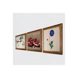 Pinecone Ebru Sanatı, Leonardo da Vinci At Heykeli, Nar Taş Duvar Tablosu - Ahşap Çerçeveli Taş Tablo - 25x25 cm - 3 Parça Set - Dekoratif Duvar Sanatı - Modern Ev ve Ofis Duvar Dekoru W3-1308