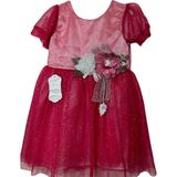Pink Kiz Cocuk Simli Cok Şık Bayram Dugun Ozel Gun Dogum Gunu Elbise - 4 Yaş - 13P-Pembe