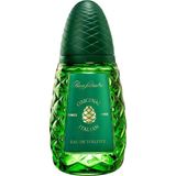 Pino Silvestre 125 ml Erkek EDT Parfümü Odunsu Ferah Koku ile Doğanın Vahşiliği