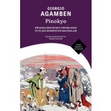 Pinokyo: Bir Kuklanın İki Kez Yorumlanan ve Üç Kez Resmedilen Maceraları
