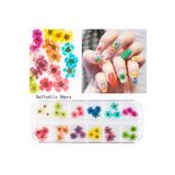 Pinpai Nail Art Kurutulmuş Çiçek Ng-145 1446