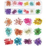 Pinpai Nail Art Kurutulmuş Çiçek Ng-155 1424