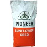 Pioneer P64LC108 Ayçekirdeği Tohumu