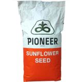 Pioneer P64LC108 Ayçekirdeği Tohumu