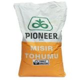 Pioneer Slaj Misir Tohumu P2183 50.000 Adet