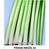 Pırasa Tohumu İnegöl 92 - 25 G. (~ Takribi 5000 Tohum)