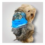 Pirate Blue Oval Yaka Tişört Köpek Kıyafeti
