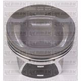 PISTON+SEGMAN STD (81.01MM) ALTEA LEON TOLEDO III OCTAVIA SUPERB CADDY I GOLF JETTA PASSAT A3 A4 2.0TDI BG/BP/BHW-CBHA (1.2 SIL)