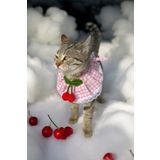 pistore Kedi Yakalık Kiraz Desenli Kedi Boyunluğu Kedi Tasması Kedi Kıyafeti Küçük Köpek Yakalık Tasma