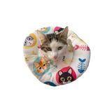Pistore Koruyucu Elizabeth Yakalık, Ayarlanabilir ve Yıkanabilir, Renkli Kedi Desenli, Kedi ve Küçük Köpek