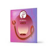 Pitbull Akustik Gitar Teli Venüs Seri 80/20 Bronz VAG 12-53 L (Light)