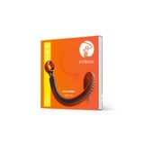 PİTBULL Gold Seri Bass Gitar Teli Nikel 4 Telli GEB-4 40-95 SL
