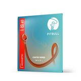 Pitbull Strings Coated Seri Akustik Gitar Teli – Uzun Ömürlü, Parlak Ton, Yüksek Dayanıklılık (CAG 12-53 L)