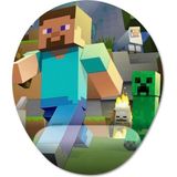 Pixxa Model -1 Oval Minecraft Bilek Destekli Mouse Pad