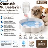 Piyatech Otomatik Kedi Su Kabı | Hazneli Kedi Su Kabı | Yerçekimli Otomatik Su Kabı | Otomatik Su Sebili | Kedi Su Pınarı Tipi Su Kabı | Kedi ve Köpek Su Kabı - Renkli