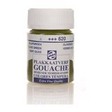 Piyop Guaj Boya 620 Olive Green 16 ml - Zeytin Yeşili